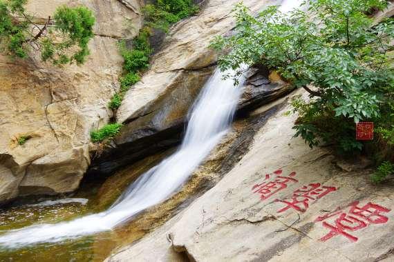 精灵格蕾